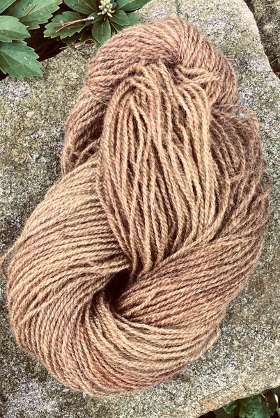 Coastal Maine Hand Dyed Yarn