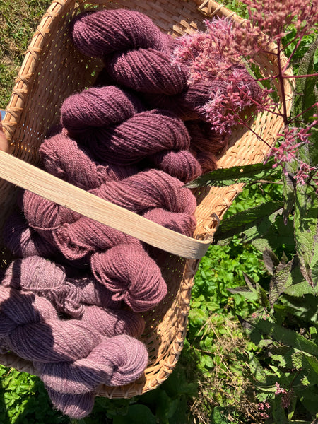 Coastal Maine Hand Dyed Yarn