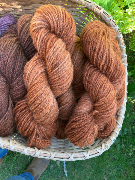 Coastal Maine Hand Dyed Yarn