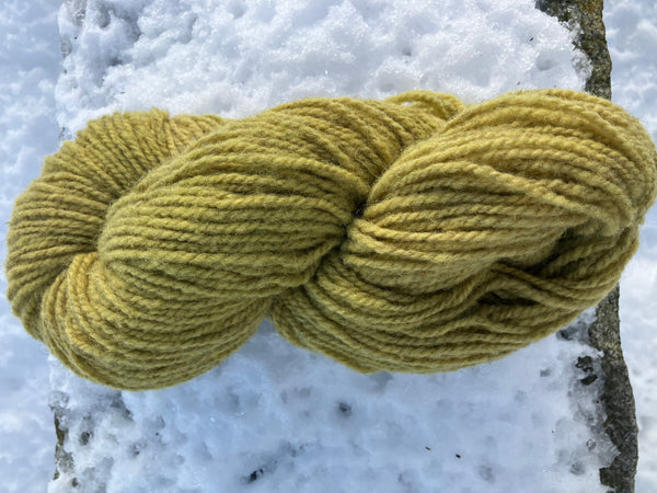 Coastal Maine Hand Dyed Yarn