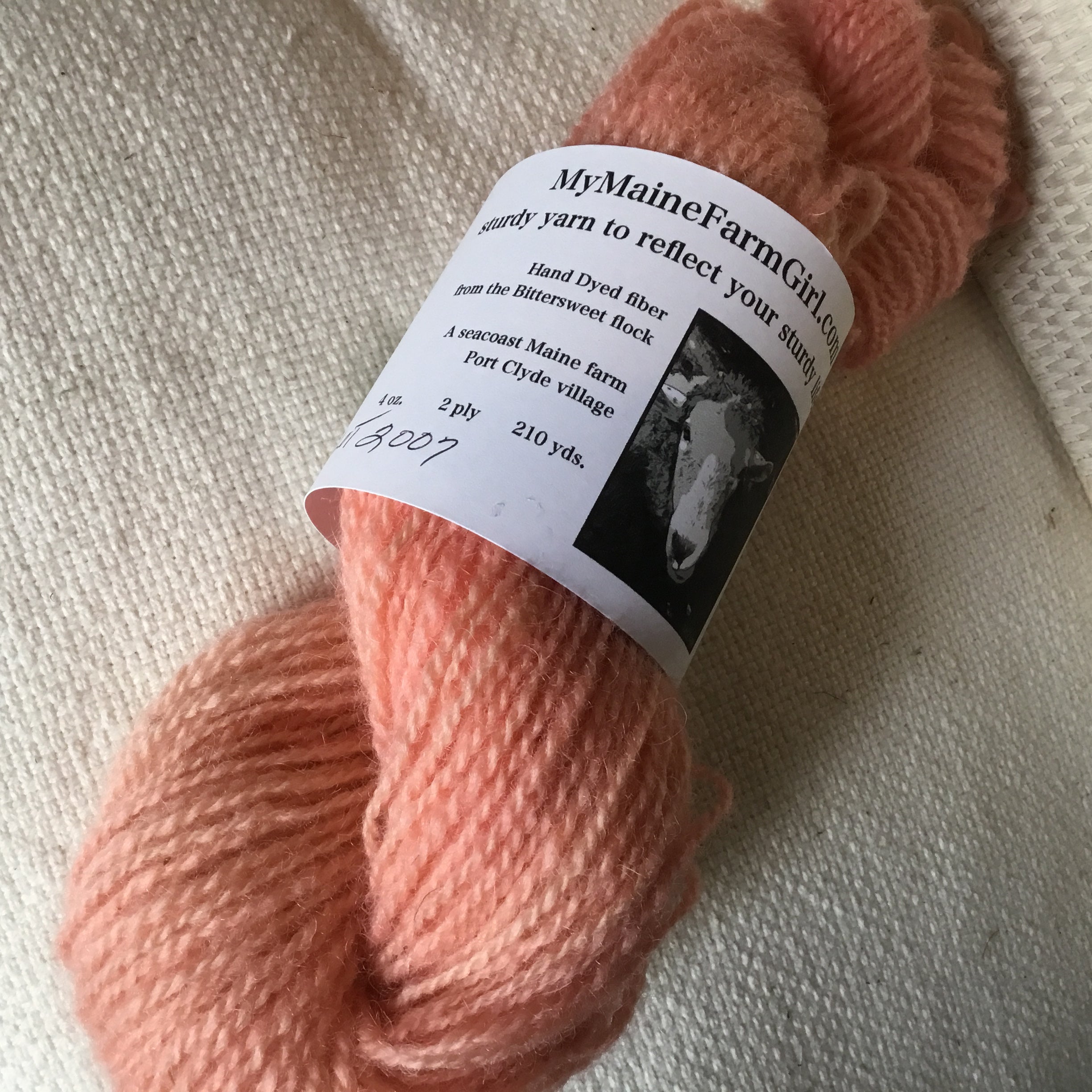 I named this Creamsicle for the bits of variation in it, like when you’re enjoying a summertime treat! Mule spun 2 ply full of soft, lofty twist.