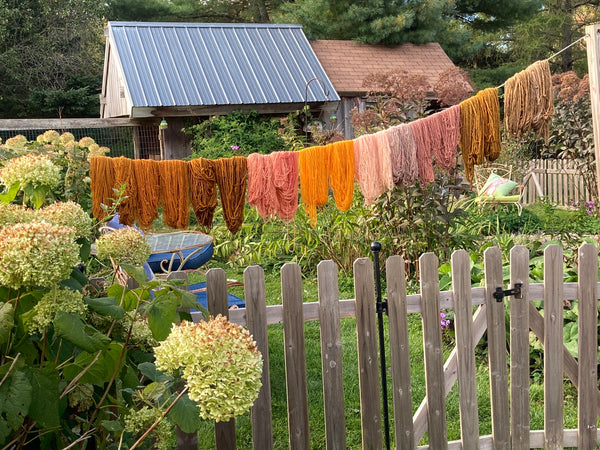 Coastal Maine Hand Dyed Yarn