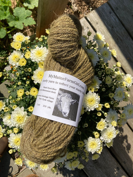 Coastal Maine Hand Dyed Yarn