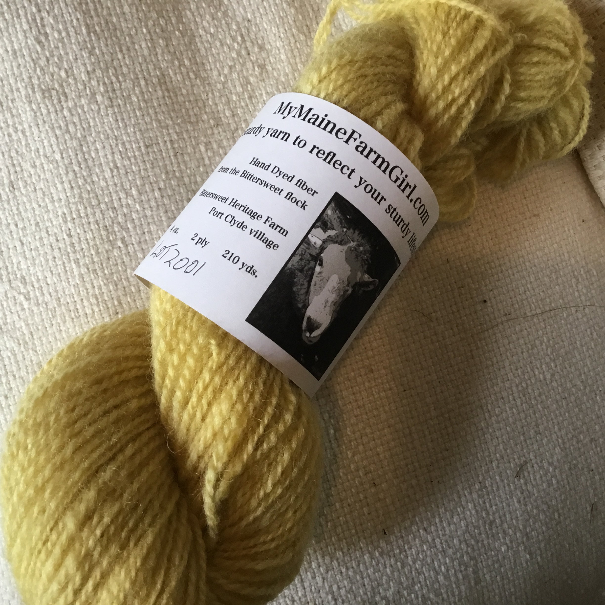 A Goldfinch flew by the window as I was wrapping this, so it was an easy choice. Soft, springy mule spun, 2 ply.