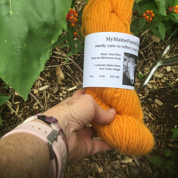 Coastal Maine Hand Dyed Yarn