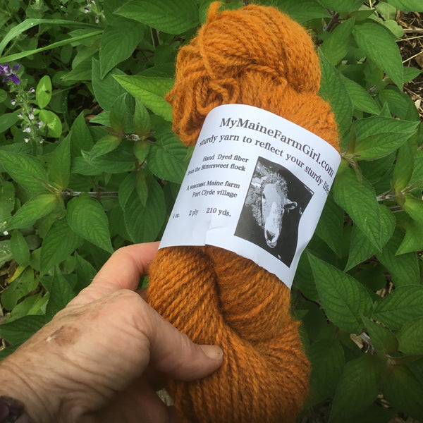 Coastal Maine Hand Dyed Yarn