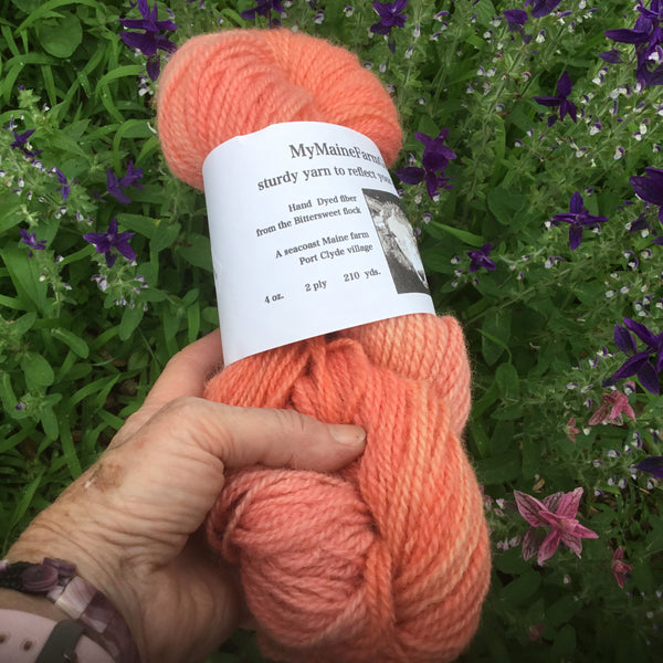 Coastal Maine Hand Dyed Yarn